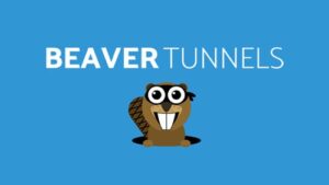 Beaver Tunnels Addon