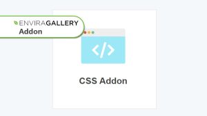 Envira Gallery CSS Addon WordPress Plugin