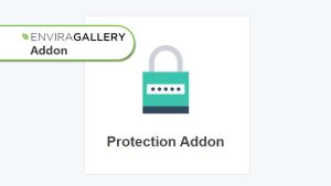 Envira Gallery Protection Addon WordPress Plugin