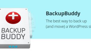 IThemes BackupBuddy WordPress Plugin