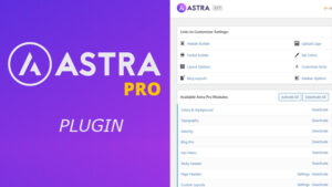 Astra Pro Add-On WordPress Plugin