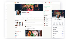 BuddyBoss WordPress Theme