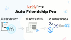 BuddyDev BuddyPress Auto Friendship Pro WordPress Plugin
