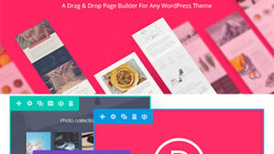 Elegant Themes Divi Builder