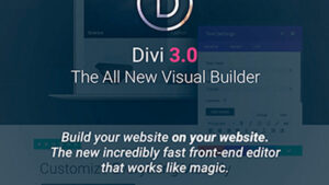 Elegant Themes Divi WordPress Theme