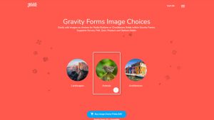 Gravity Forms Image Choices WordPress Plugin